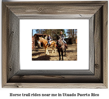 horse trail rides near me in Utuado, Puerto Rico